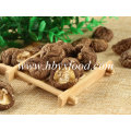 Alimentos orgânicos secos Shiitake liso Cogumelo com melhor preço para Atacado